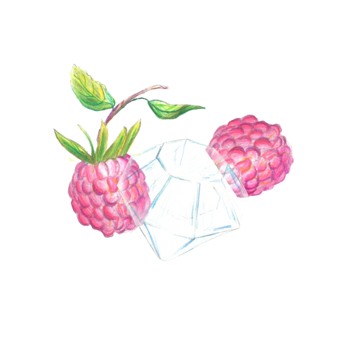 Himbeere Icon